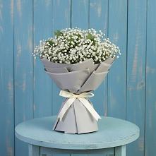 Букет цветов из:  Гипсофила #REPLACE_PRED# Порхове