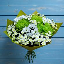 Букет цветов из:  Хризантемы #REPLACE_PRED# Порхове
