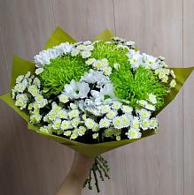 Букет цветов из:  Хризантемы #REPLACE_PRED# Порхове